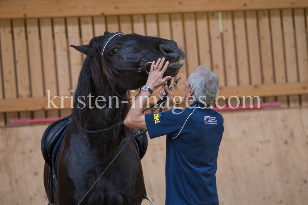 klassische Dressur / Aldrans, Tirol by kristen-images.com