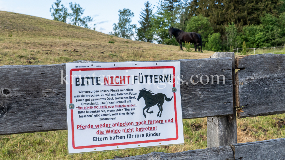 Pferdeweide / Pferde bitte nicht füttern by kristen-images.com